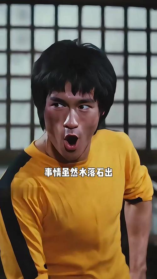 新功夫之王:重温东方猛虎的传奇人生