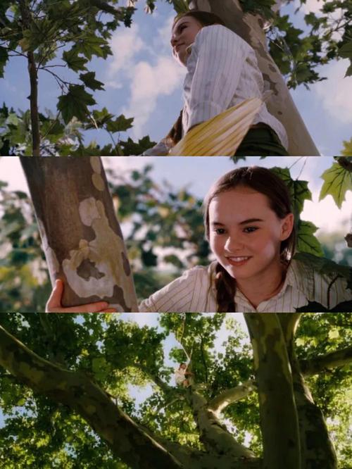 怦然心动的她们各女主结局如何?最终谁找到了幸福?