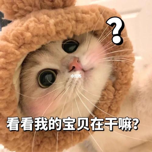 我的宝贝现在在干嘛?好想问问他