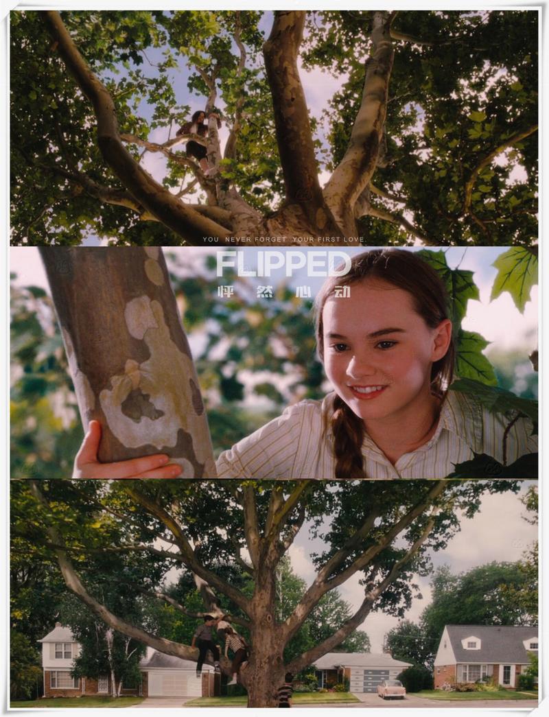 想体验恋爱?怦然心动的她们游戏值得一玩吗?