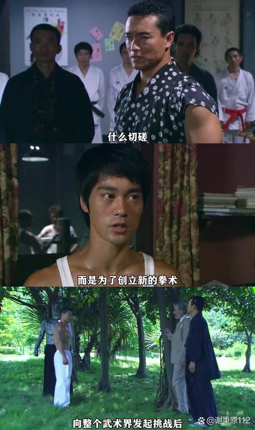 新功夫之王:重温东方猛虎的传奇人生