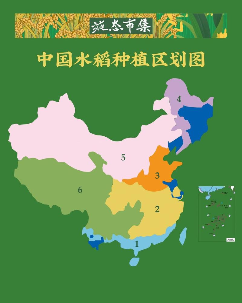 你在地图上看到水稻了吗?高德地图的暖心细节!