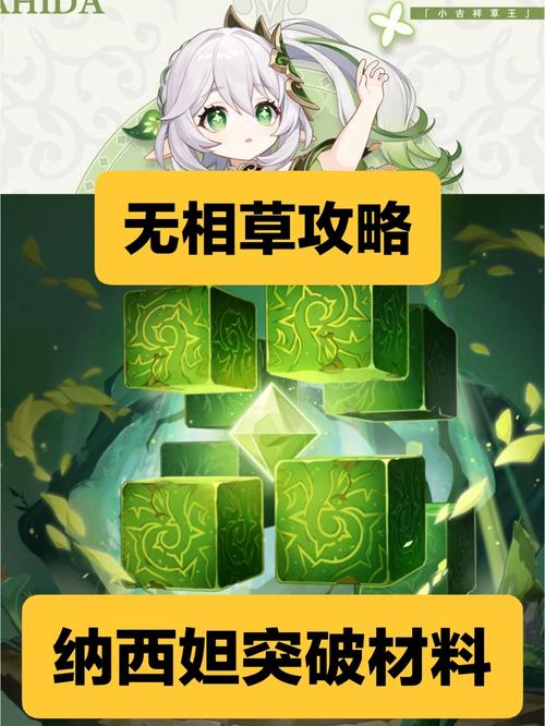 无相草打法攻略详解:快速击败无相之草