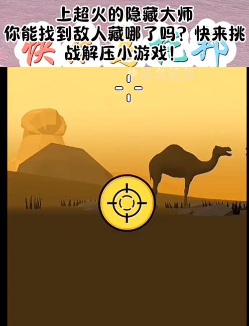 游戏隐藏大师：保护你的游戏隐私，安全无忧！