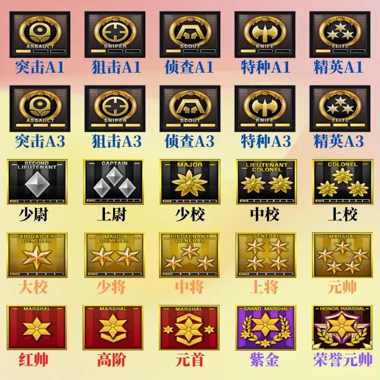 最新CF等级查询入口:轻松查看游戏等级信息