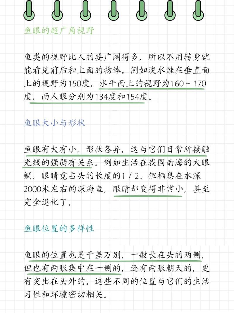 网络谣言大揭秘：金鱼的记忆真的只有7秒？