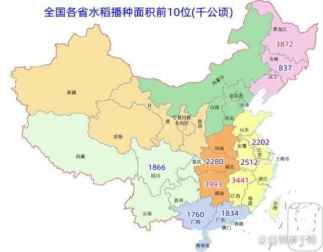 你在地图上看到水稻了吗?高德地图的暖心细节!