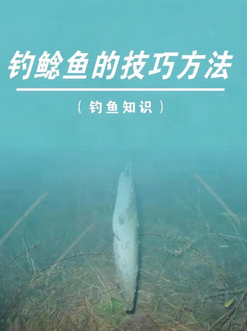 熔鳞鲶鱼怎么钓？新手玩家必看钓鱼指南