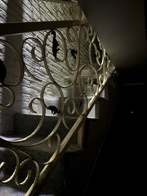 逃出游客旅馆:揭秘恐怖旅店背后的秘密,你敢看吗?