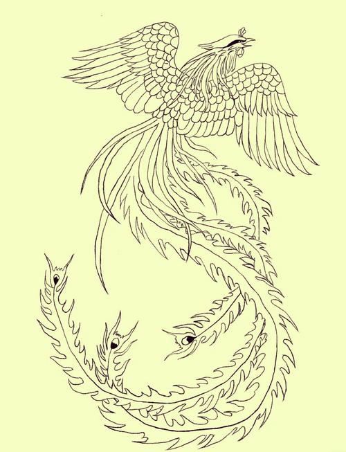 凤凰下载地址汇总:简单方便快速下载