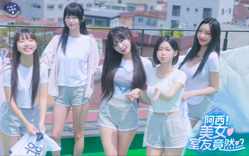 阿西美女室友手游下载：完整安装步骤指南