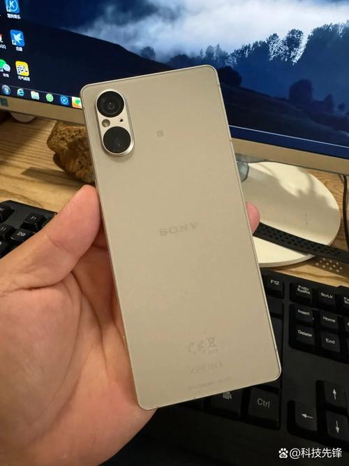 SOAV65版本大全免费下载：无需注册，直接下载使用