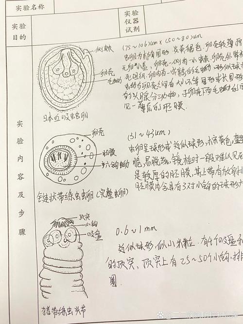 详解内部寄生虫版本大全:图文识别各种寄生虫
