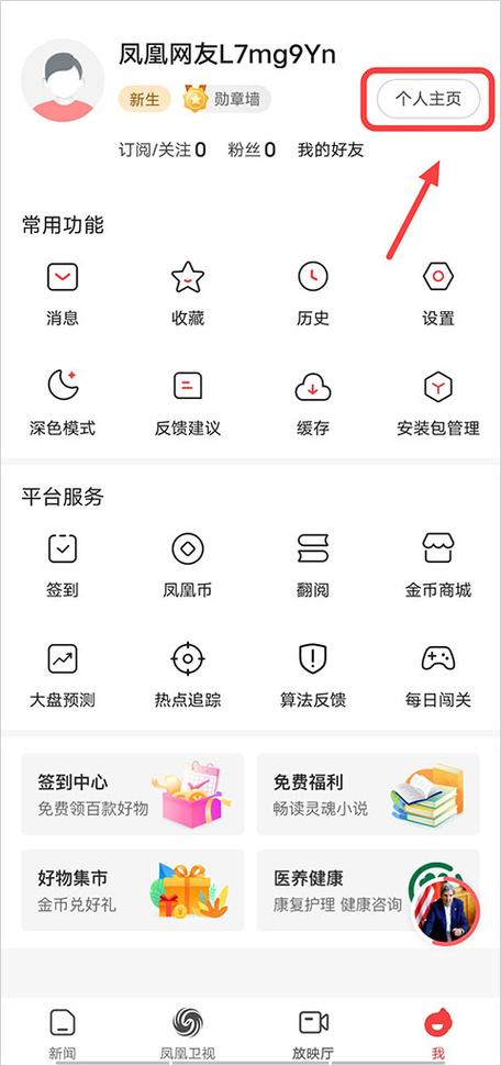 哪里可以下载凤凰V11外传Wet?玩家分享下载经验