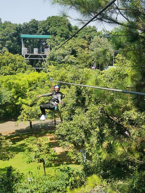 想玩丛林V0.20?教你轻松下载安装的步骤