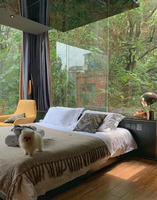 亲密民宿与你在一起BNB下载方法详解,轻松体验游戏乐趣