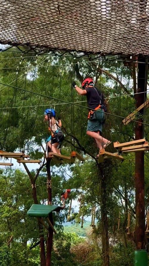 想玩丛林V0.20?教你轻松下载安装的步骤