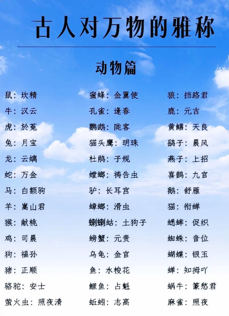 想知道这是什么?万物识别扫一扫试试看