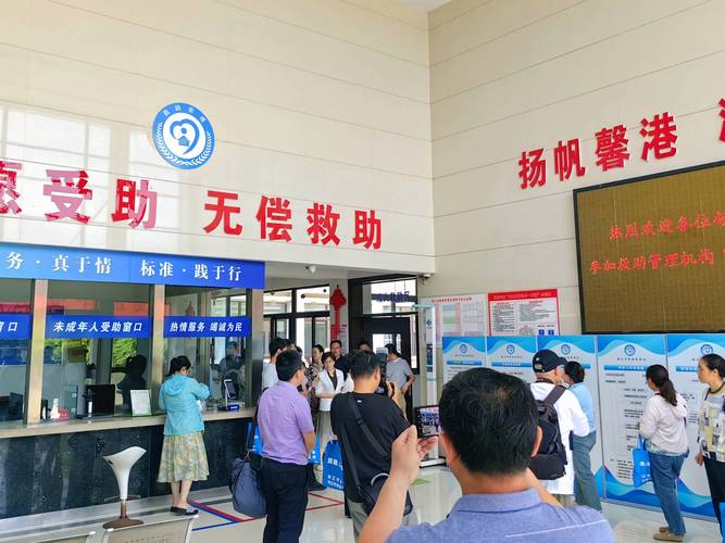 苦主救助中心1-4合集：完整剧情流程攻略大全