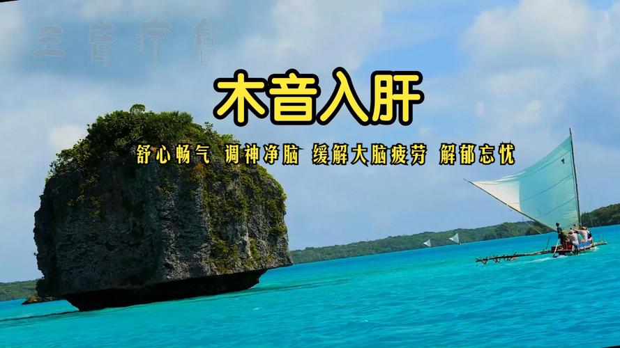 好玩又刺激!青色大脑杨过游戏:新手入门必看