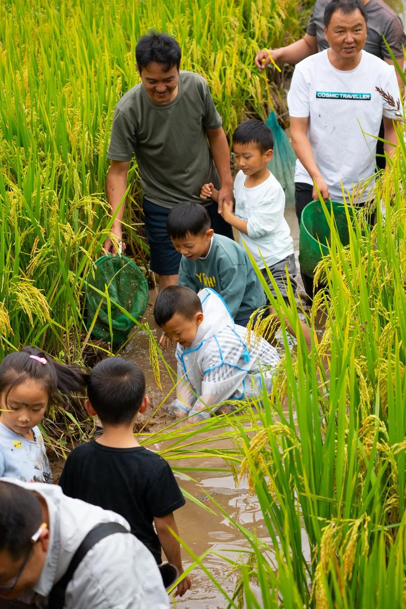 想体验乡村快乐暑假？游戏下载地址都在这里！