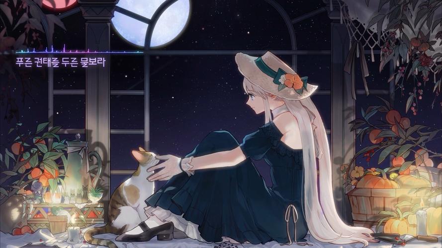 洛奇Mabinogi游戏攻略:新手入门及进阶技巧