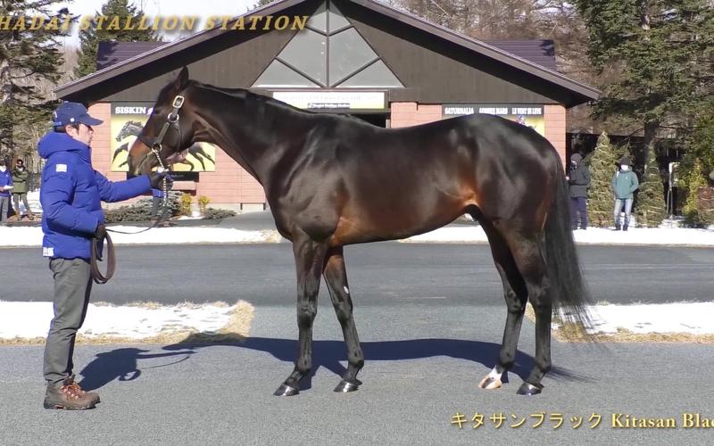 种马V0.11:你弟弟会爱上的游戏?游戏评测来了!