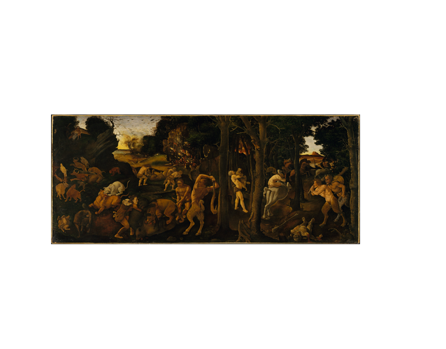 极致的狩猎:一场视觉盛宴的狩猎之旅