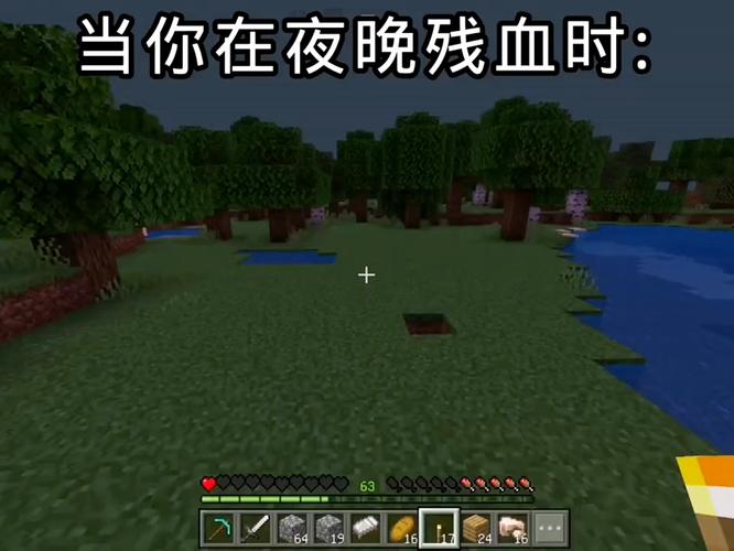 盘点我的世界最惨的十大生物，你同情哪个？