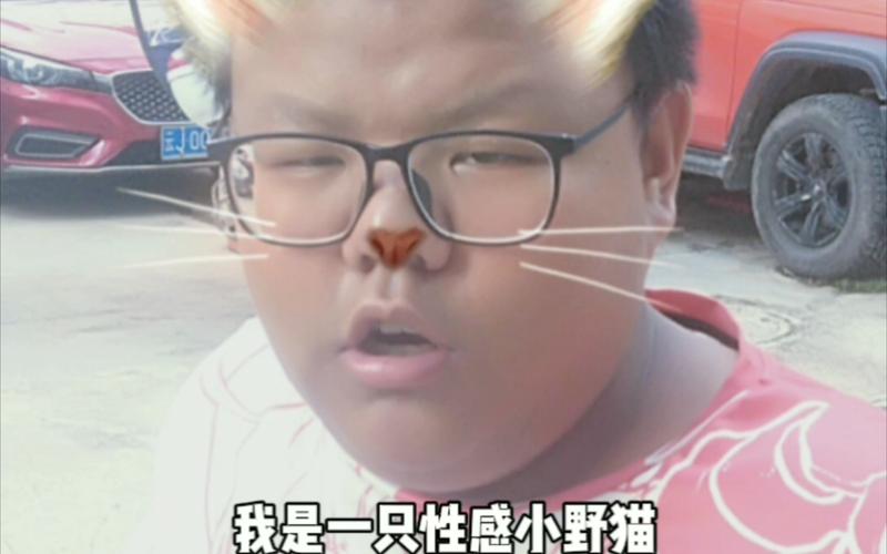 小野猫N下载地址大全:安全可靠的下载途径