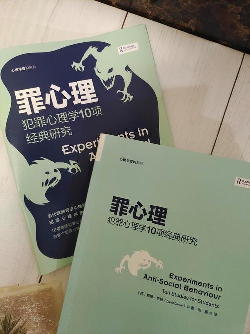 犯罪吸引力版本大全：你不可错过的精彩内容