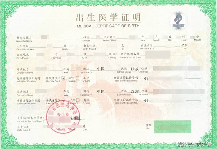 如何下载出生证明?官方下载地址及使用方法