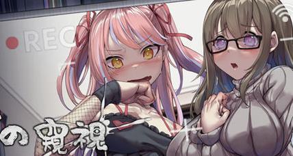 管理员的窥视绅士游戏:风险与乐趣并存的独特体验