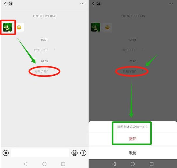 微信拍一拍功能在哪里?教你快速找到并使用拍一拍