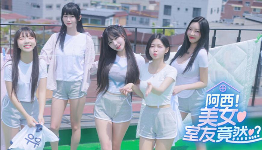 阿西美女室友绅士游戏下载,安卓和iOS都能玩!