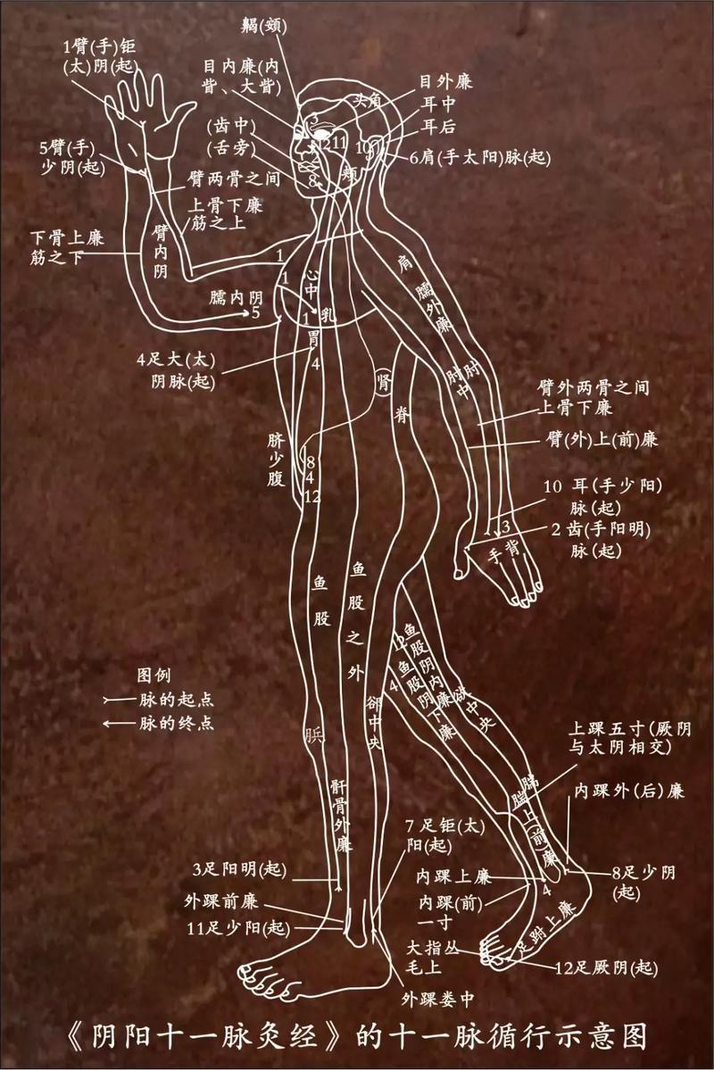 大唐官府奇经八脉怎么加点?新手一看就懂的攻略!