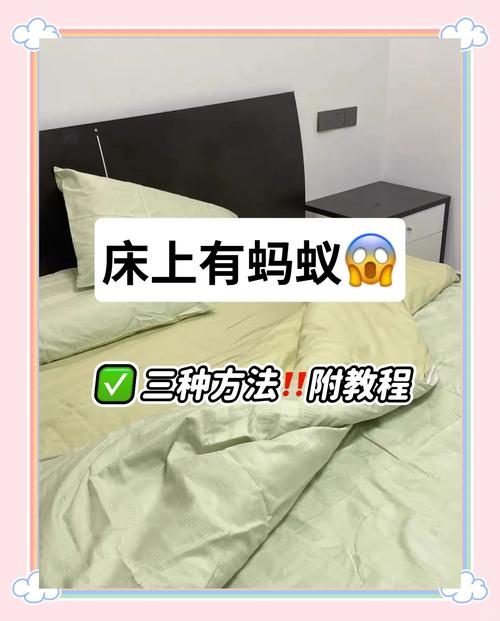 蚂蚁影视怎么看不了？ 几个方法教你轻松解决！