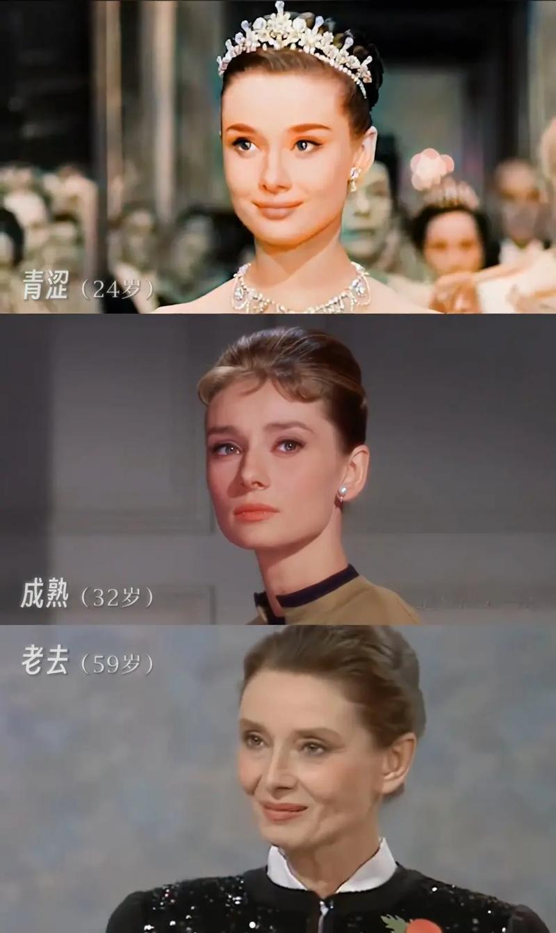 时尚女王莫妮卡EP4 V8.0下载教程,新手必看!