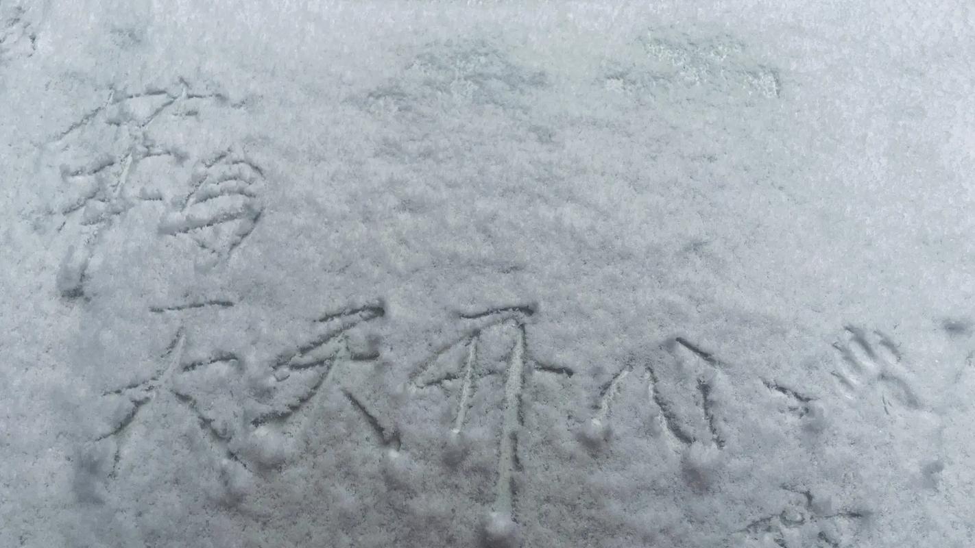 雪地还能写字画画?这款雪地写字器太好玩了!