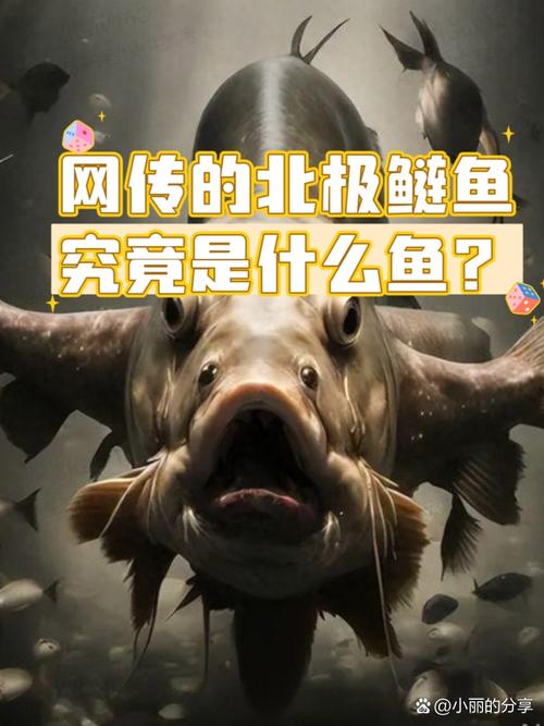 二鱼的真实生活是怎样的?这篇文章给你答案!