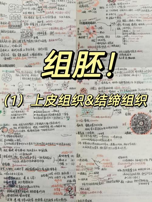 想了解重结缔皮看这里！常见问题及解决方法分享！