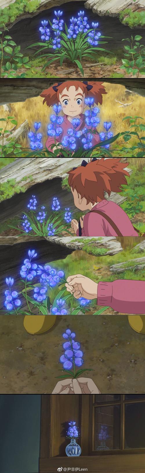 花之魔女下载地址在哪？最新版免费下载攻略！