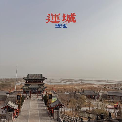 盐神阁是什么?新手小白入门必看攻略!