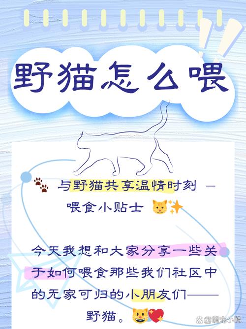 小野猫N上版本大全怎么看?这些方法你必须知道!