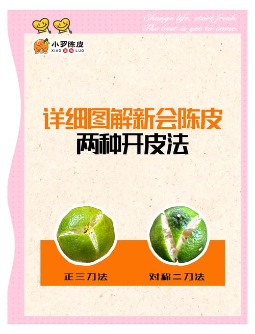 制皮分支选哪个好?看完这篇攻略你就懂了!