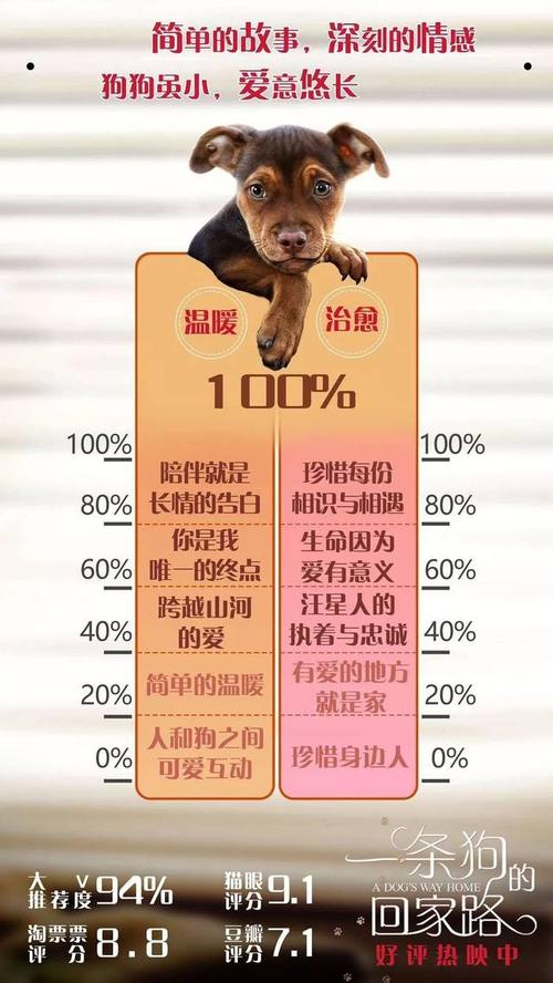 危险的回家路版本大全介绍，新手入门必看！