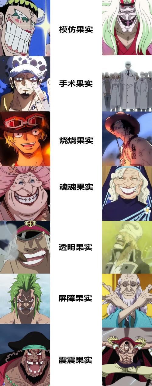 热血海贼王恶魔果实能力大全,看看哪个最厉害!