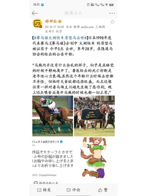 大树快车靠谱吗?一文带你了解它的优缺点!