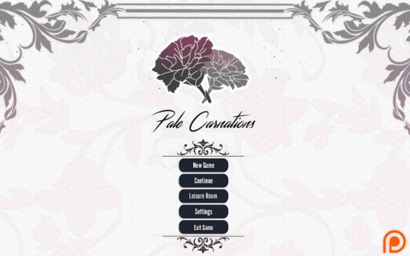 康乃馨俱乐部怎么下载安装？一看就会的教程！