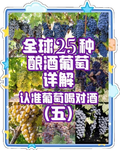 葡萄成熟时下载方法分享,多种途径任你选择!